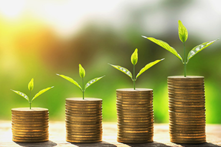Why Financial Advice is about Behaviour, Not Markets