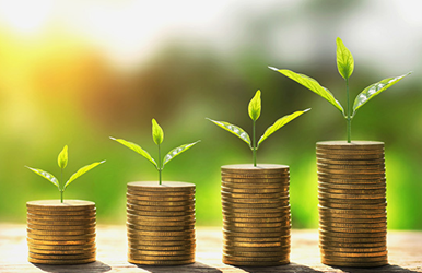 Why Financial Advice is about Behaviour, Not Markets